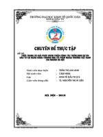 Thực trạng và giải pháp hoàn thiện công tác thẩm định dự án đầu tư tại Ngân hàng thương mại cổ phần Ngoại thương Việt Nam – Chi nhánh Hà Nội