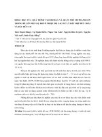 Động học của quá trình tạo BIOGAS và quần thể METHANOGEN trong bể lên men kỵ khí ở nhiệt độ cao xử lý kết hợp bùn thải và rác hữu cơ