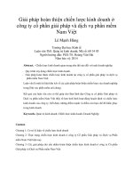 Giải pháp hoàn thiện chiến lược kinh doanh ở công ty cổ phần giải pháp và dịch vụ phần mềm nam việt 