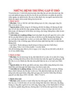 Những bệnh thường gặp ở thỏ