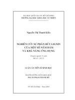 Nghiên cứu sự phân hủy lignin của một số nấm đảm và khả năng ứng dụng