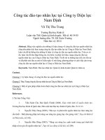 Công tác đào tạo nhân lực tại công ty điện lực nam định 