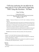 Chiến lược marketing cho sản phẩm thẻ tín dụng quốc tế (visa credit card) tại ngân hàng TMCP xăng dầu petrolimex – PG bank 