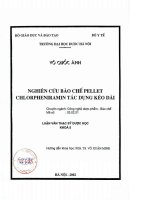 Nghiên cứu bào chế pellet chlorpheniramin tác dụng kéo dài