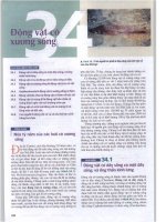 chương 34 động vật có xương sống 