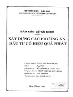 Báo cáo đề tài xây dựng các phương án đầu tư có hiệu quả nhất