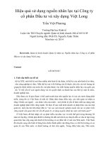 Hiệu quả sử dụng nguồn nhân lực tại công ty cổ phần đầu tư và xây dựng việt long 