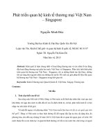 Phát triển quan hệ kinh tế thương mại việt nam – singapore 