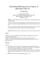 Hoạt động marketing mix tại công ty cổ phần nhựa châu âu 