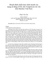 Hoạch định chiến lược kinh doanh của mạng di động GTEL khi vimpelcom rút vốn khỏi beeline việt nam 