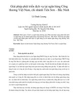 Giải pháp phát triển dịch vụ tại ngân hàng công thương việt nam, chi nhánh tiên sơn – bắc ninh 