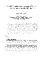 Phân phối thu nhập trong các doanh nghiệp có vốn đầu tư nước ngoài tại hà nội 