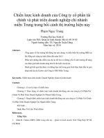 Chiến lược kinh doanh của công ty cổ phần tài chính và phát triển doanh nghiệp chi nhánh miền trung trong bối cảnh thị trường hiện nay 