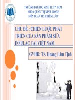 CHIẾN lược PHÁT TRIỂN của sản PHẨM sữa INSULAC tại VIỆT NAM 