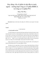 Huy động vốn cổ phần từ nhà đầu tư nước ngoài – trường hợp công ty cổ phần BIBICA và công ty cổ phần PVI 