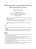 Những trở ngại đối với sự phát triển thương mại điện tử lành mạnh ở việt nam 