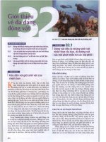 chương 32 giới thiệu về đa dạng động vật 