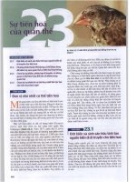 TỪ ĐIỂN SINH HỌC CAMPBELLchương 23 sự tiến hóa của quần thể