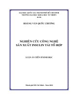 Toàn văn Nghiên cứu công nghệ sản xuất insulin tái tổ hợp