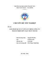 Giải pháp quản lý vốn lưu động tại công ty TNHH Trần Thành