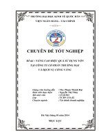 Nâng cao hiệu quả sử dụng vốn tại Công Ty Cổ Phần Thương mại và Dịch Vụ Cổng Vàng