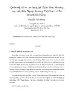 Quản trị rủi ro tín dụng tại ngân hàng thương mại cổ phần ngoại thương việt nam   chi nhánh đà nẵng 
