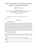 Phân tích tình hình tài chính công ty cổ phần đầu tư và thương mại tín phát 