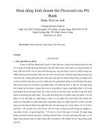 Hoạt động kinh doanh thẻ flexicard của PG bank 