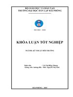 Đánh giá hiện trạng quản lý môi trường KCN nomura – hải phòng 