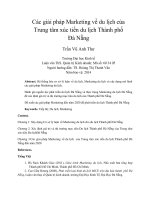 Các giải pháp marketing về du lịch của trung tâm xúc tiến du lịch thành phố đà nẵng 