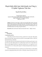 Hoạch định chiến lược kinh doanh của công ty cổ phần viglacera tiên sơn 