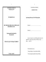 Phát triển hệ thống bán lẻ trên địa bàn thành phố đà nẵng