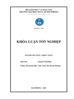 Hoàn thiện tổ chức kế toán vốn bằng tiền tại công ty TNHH một thành viên nam triệu 