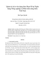 Quản trị rủi ro tín dụng theo basel II tại ngân hàng nông nghiệp và phát triển nông thôn việt nam 