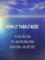 BỆNH lý ứ nước THẬN