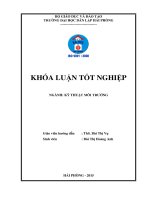 Nghiên cứu khả năng xử lý cr6+ trong nước bằng thải của vật liệu hấp phụ chế tạo từ lá thông 