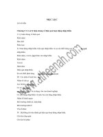 Luận văn thực trạng và giải pháp nhằm nâng cao hiệu quả hoạt động nhập khẩu của công ty thương mại xuất nhập khẩu hà nội