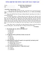 TỔNG hợp đề THI TIẾNG VIỆT lớp 3 HAY CHỌN lọc 