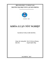 Thiết kế bãi lọc trồng cây dòng chảy ngay xử lý nước thải sinh hoạt 