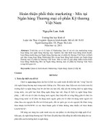 Hoàn thiện phối thức marketing   mix tại ngân hàng thương mại cổ phần kỹ thương việt nam 