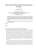 Hiệu suất hoạt động TCP trên mạng không dây AD HOC 