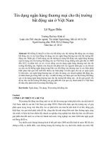 Tín dụng ngân hàng thương mại cho thị trường bất động sản ở việt nam