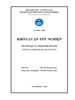 Một số giải pháp nâng cao hiệu quả sử dụng nguồn nhân lực tại khách sạn level thuộc công ty CP đầu tư  du lịch LV 