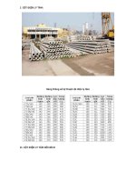 THÔNG SỐ KỸ THUẬT CỘT ĐIỆN BÊ TÔNG