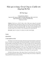 Hiệu quả sử dụng vốn tại công ty cổ phần sơn tổng hợp hà nội