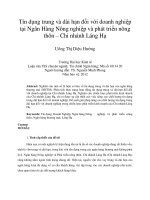 Tín dụng trung và dài hạn đối với doanh nghiệp tại ngân hàng nông nghiệp và phát triển nông thôn – chi nhánh láng hạ