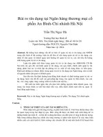Rủi ro tín dụng tại ngân hàng thương mại cổ phần an bình chi nhánh hà nội 