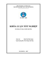 Xử lý nước thải bệnh viện bằng bể tự hoại kết hợp bãi lọc ngầm trồng cây dòng ngang và ứng dụng tính toán mô hình xử lý cho một bệnh viện 