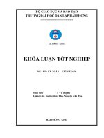 Hoàn thiện công tác kế toán hàng hóa tại công ty TNHH thương mại dịch vụ toàn thắng 