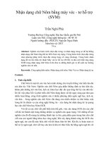 Nhận dạng chữ nôm bằng máy véc   tơ hỗ trợ (SVM) 